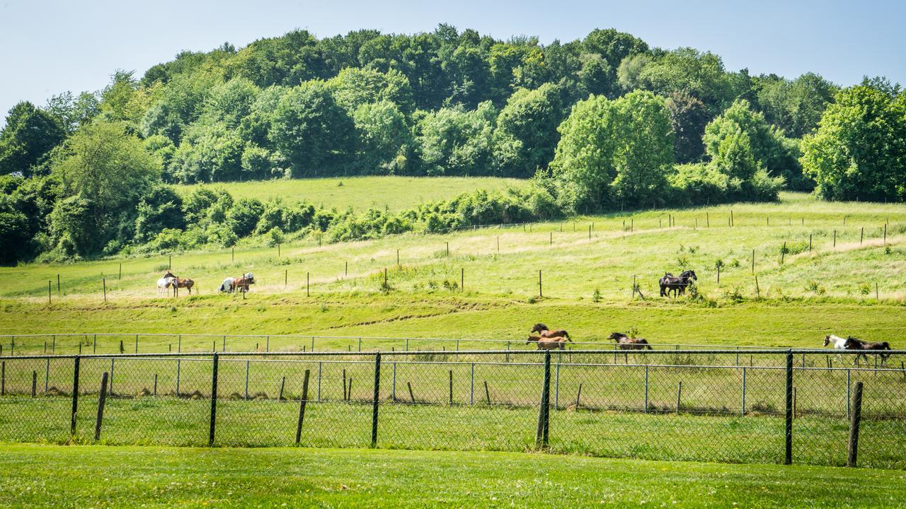 Panorama Sousberg En Bed & Breakfast